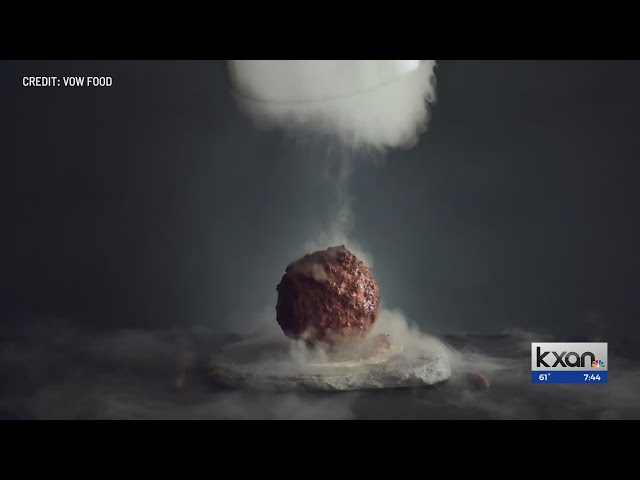 Will traditional barbecue go extinct because of ‘woolly mammoth’ meatballs?