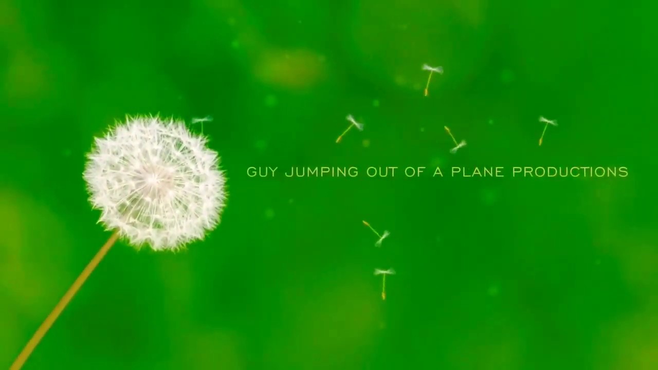 Passport To Emergency Landing in Zebraville