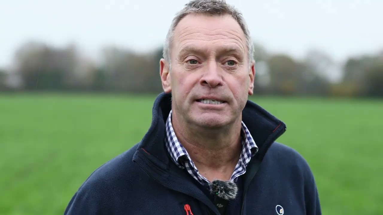 KWS Cito - Leading starch and exceptional energy value - Agrovista Seeds