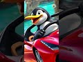 سيري أغنية علي بابا قناة أسرتنا   اطفال  كرتون  اكسبلور