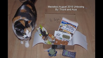 Meowbox August 2016 Unboxing