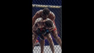 Highlights from PFL Chicago at Wintrust Arena 🏆