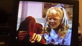 Wrinkles In Need Of Cuddles