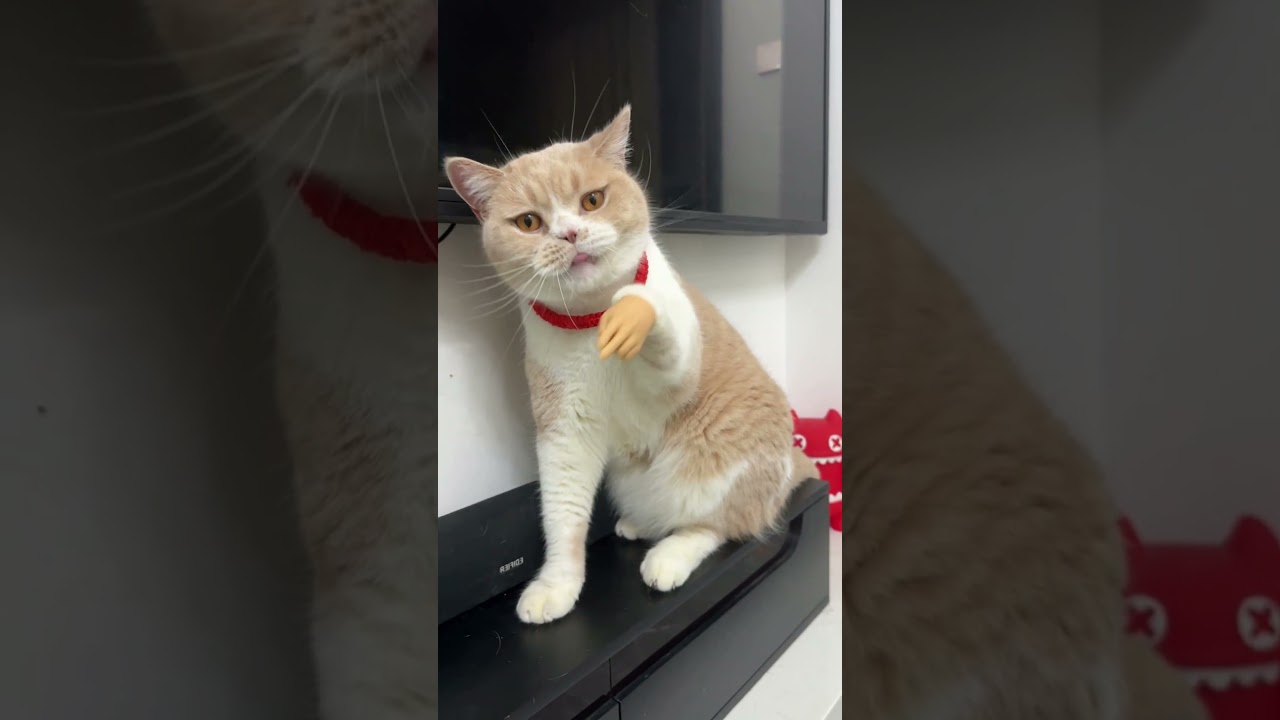 thật nà fong cách, ai sợ thì đi zề =)))