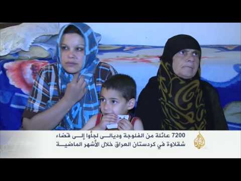 7200 عائلة من الفلوجة وديالى لجأت إلى قضاء شقلاوة