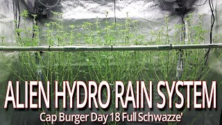 Alien Hydro Rain System, Cap Burger Day 18 Schwazze'