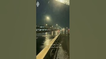 آيات بينات من الذكر الحكيم 🌺🌼
