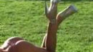 Evangelina Anderson En Sesion De Fotos...