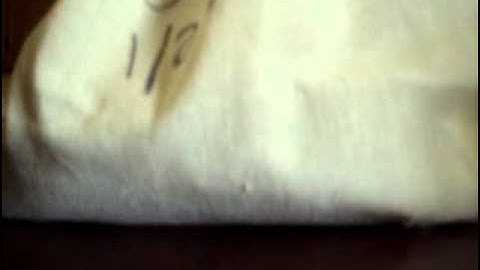 Unboxing my first Ball Python