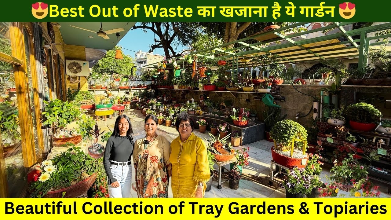 Best Out of Waste का खजाना है ये गार्डन 😍 Beautiful Collection of Tray Gardens & Topiaries