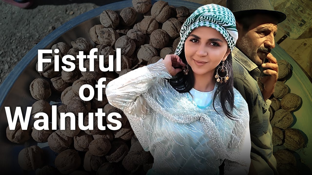 Heydareh Qazi Khan | Kurdish Wedding & Village Life (عروسی کردی در حیدره قاضی‌خان)