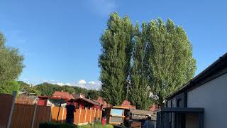 Dove Memories - Our Doves Flying Back To Their Home After A Training Flight