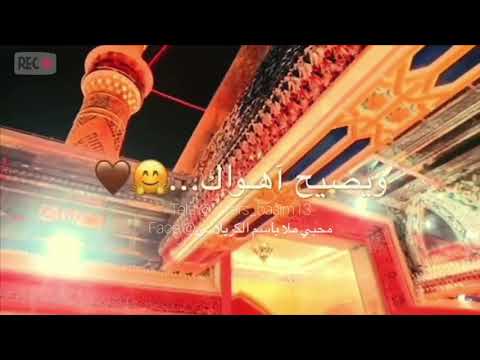 لساني الما يمل ذكرك ولا ينساك يسولفلك عشگ روحي ويصيح أهواك