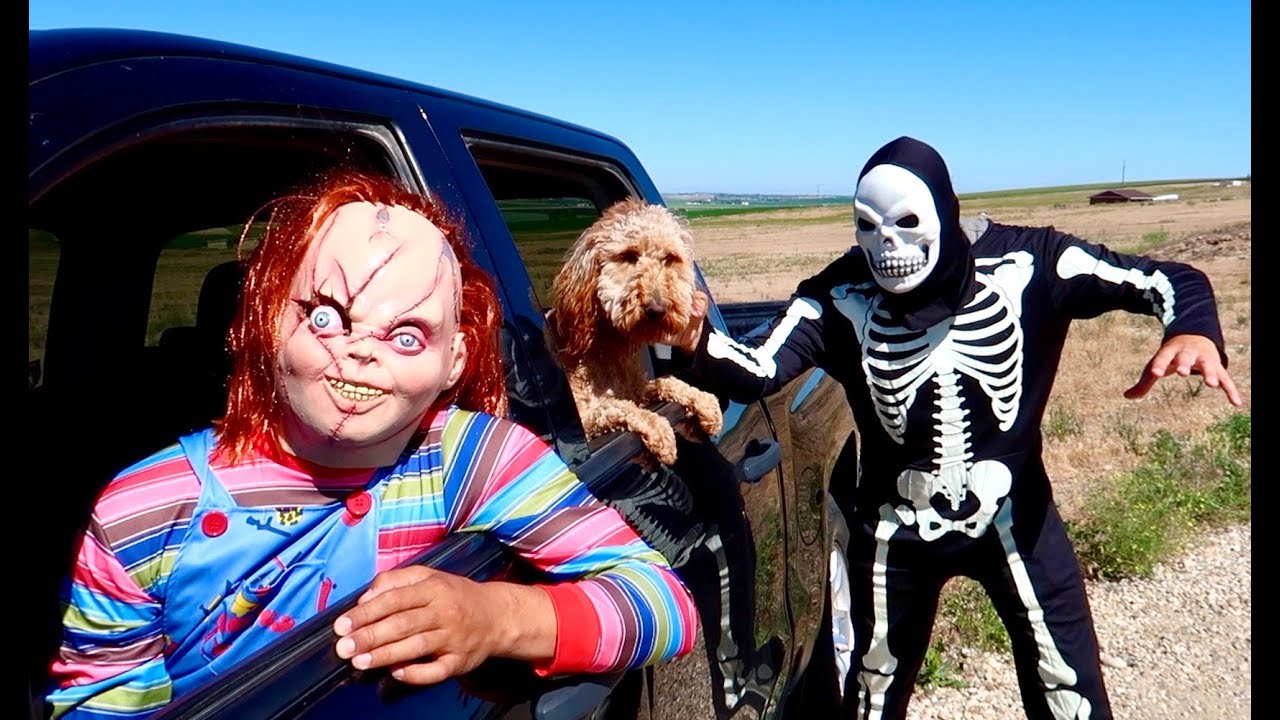 Skeleton Surprises Puppy & Chucky With Car Ride Chase!