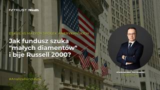 Jak fundusz szuka "małych diamentów" i bije Russell 2000 - Esaliens Małych Spółek Amerykańskich