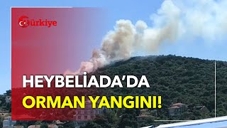 Heybeliadada Korkutan Orman Yangını