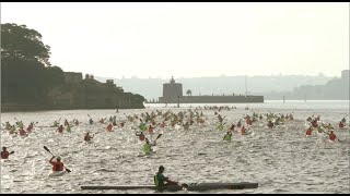 Manly Wharf Bridge To Beach 2024 - All The Action