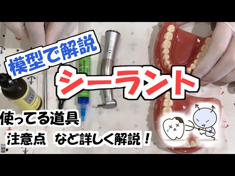 【シーラント】手順を詳しく解説します！