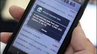 Bitcoin's bubble swells with a new record high