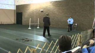 Utility A Streak Adn Wanda Part 2 Of 2