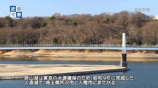 近郊寸景　狭山湖の朝