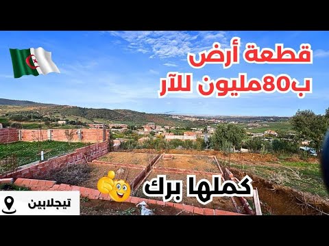 قطعة أرض للبيع ب80مليون للآر في تيجلابين ولاية بومرداس رقم صاحب العقار 0772639736