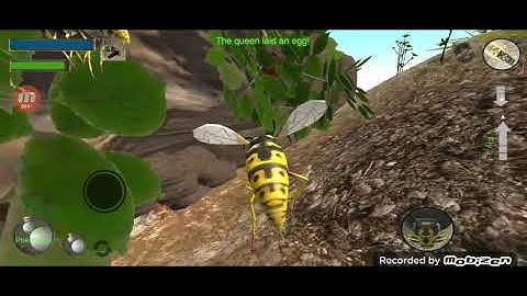 wasp nest simulation game review