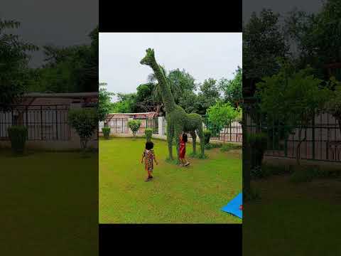 daily vlog गुलाब पार्क #reels #vlog #fyp
