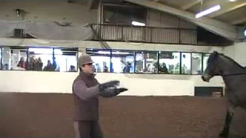 Tracey Millward at the Show Camp