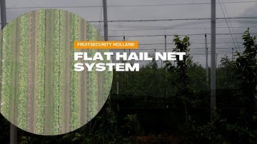 Flat Hail Net System (Vlak Hagelnet Systeem)- FRUITSECURITY HOLLAND