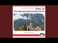 Miniature de la vidéo de la chanson Italian Concerto In F Major, Bwv 971: Andante