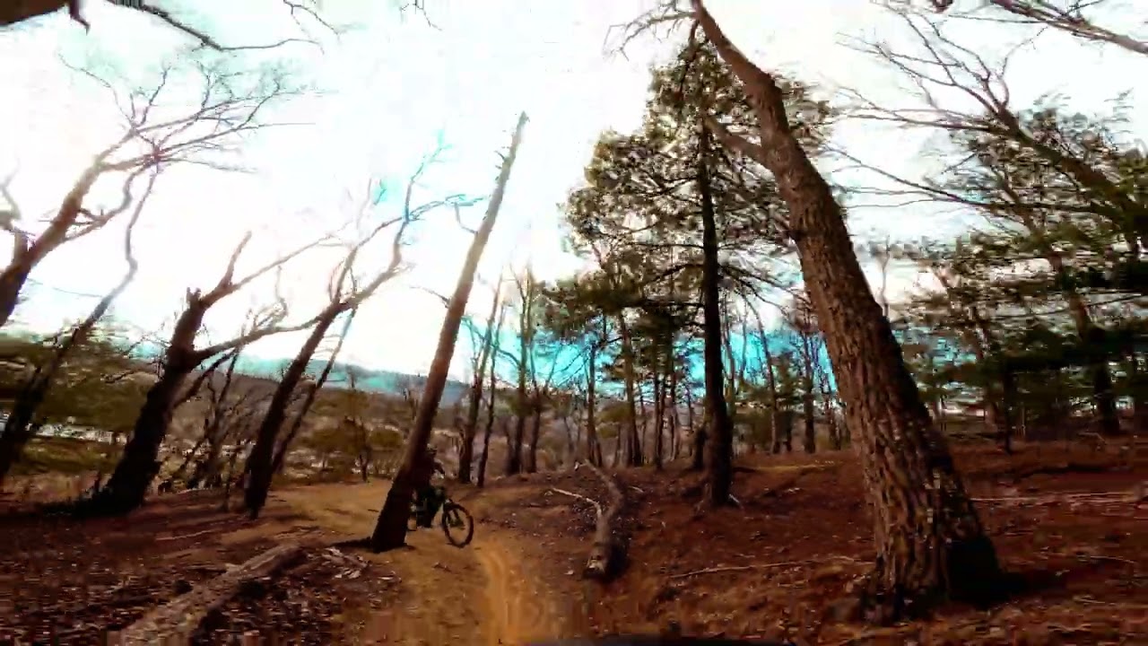 Shenandoah River Jan 2026