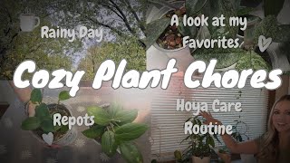 Hoya Care Routine | Cozy Rainy Morning ☕️| Relax as I share my favorites and do some repots 🌿