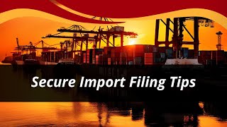 Strategies for Importers to Ensure Sensitive Information Protection in Security Filings