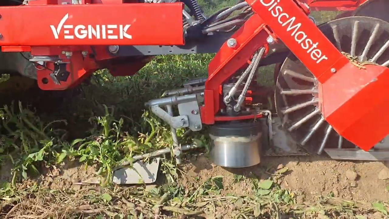 Démonstration extirpeur de fanes pommes de terre Société Vegniek au Comité Nord Plant de PDT