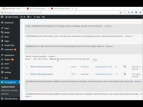 Fix Duplicates Redirection Example