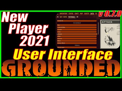 New Player Guide