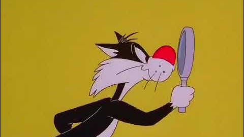 The Sylvester and Tweety Mysteries Intro