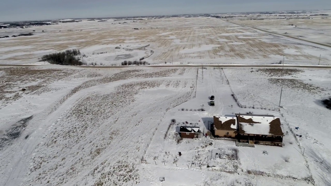 Chloe Pleckaitis - 224005 Township Road 470