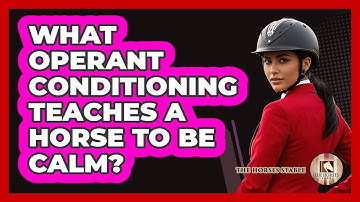 What Operant Conditioning Teaches A Horse To Be Calm? - The Horses Stable