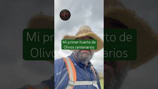Camino de Santiago de Compostela #82 #santiagodecompostela  #españa