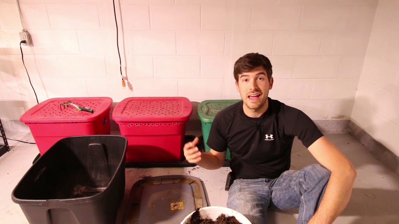 premiere elements 2018 vs 2019 We Built a Worm Bin for $5 and it Was EASY!