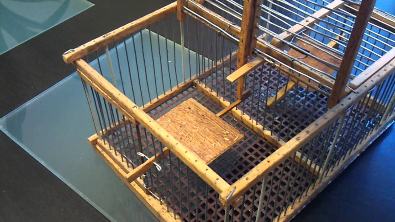 jaula trampra doble  //  double trap cage