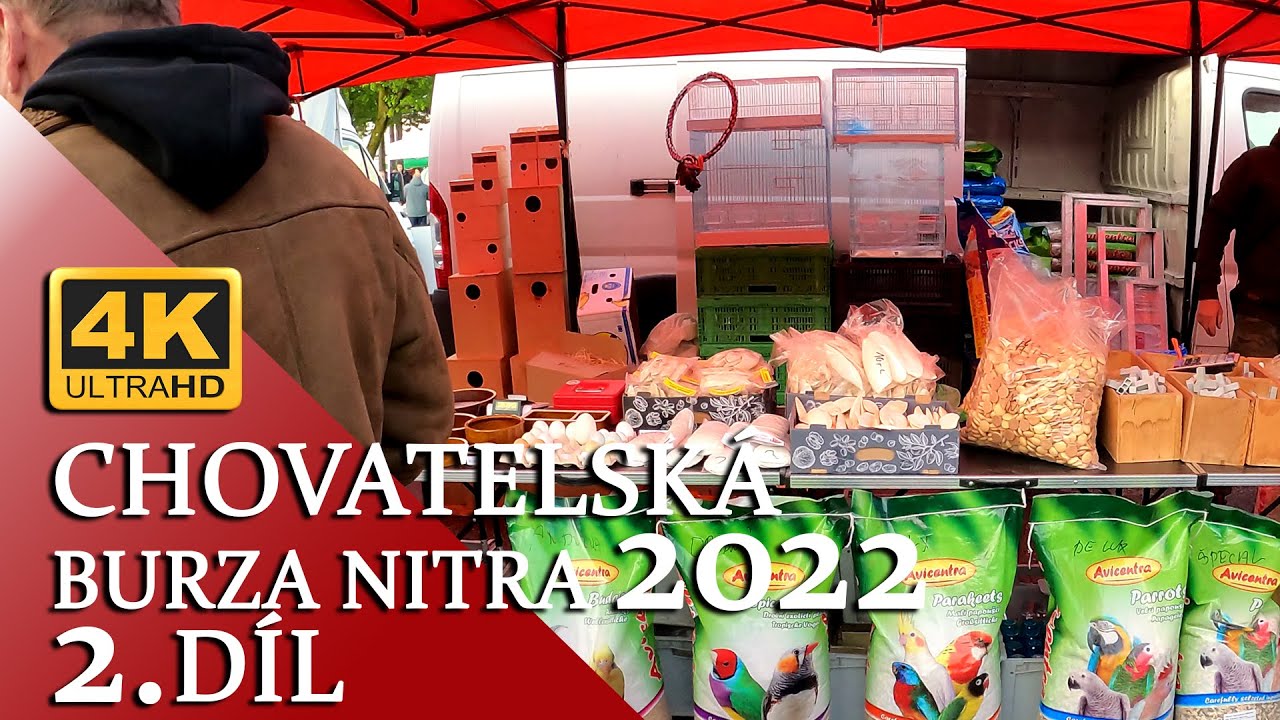 🔴[4K ] Chovatelská burza Nitra 2022 - 2.díl (nádherné zakončení dne) 😡🤬│KorelyEu