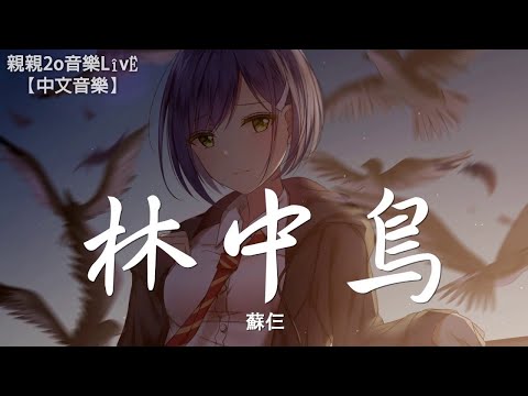 蘇仨 - 林中鳥 (女聲版)(Cover 葛林)【動態歌詞Lyrics】
