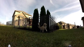 FPV ON SYMA X8G DRONE FOOTAGE