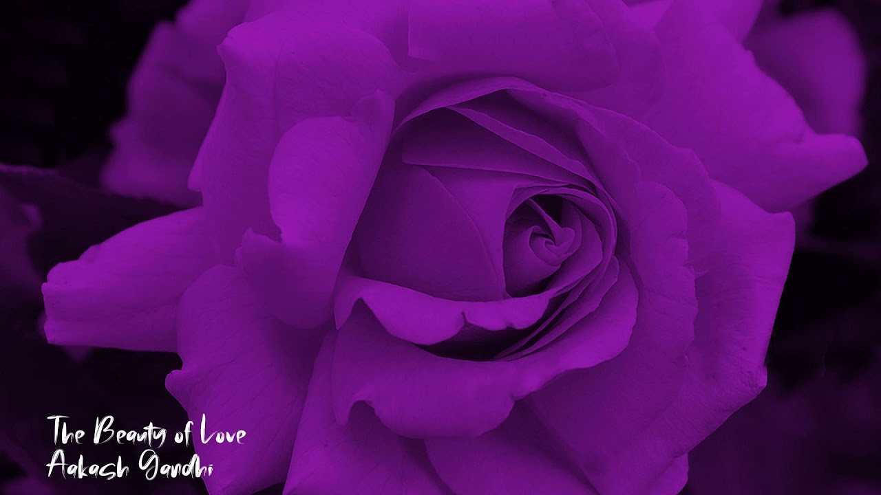 The Beauty of Love - Aakash Gandhi | 1 Hour