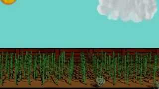 Michael's E4 animation