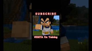 Dragon Ball Vegeta Trains Martial Arts! Minecraft Style!