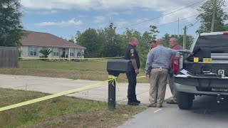 Man shot in the head during domestic incident in Springfield